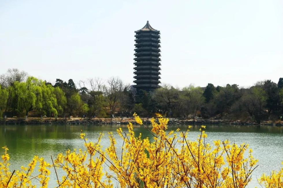 教育部启动一本专业建设“双万计划” 谁将受益？