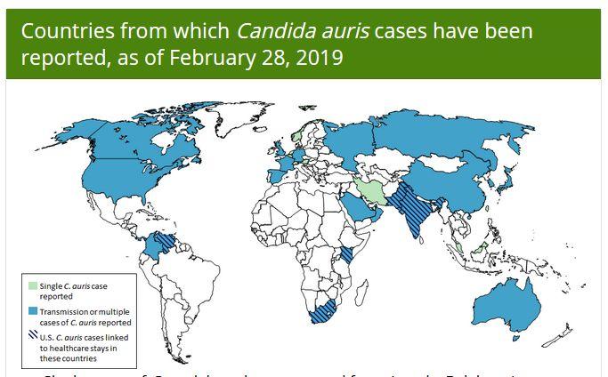 中国确诊18例超级真菌感染,生化危机真的来了?别瞎说!