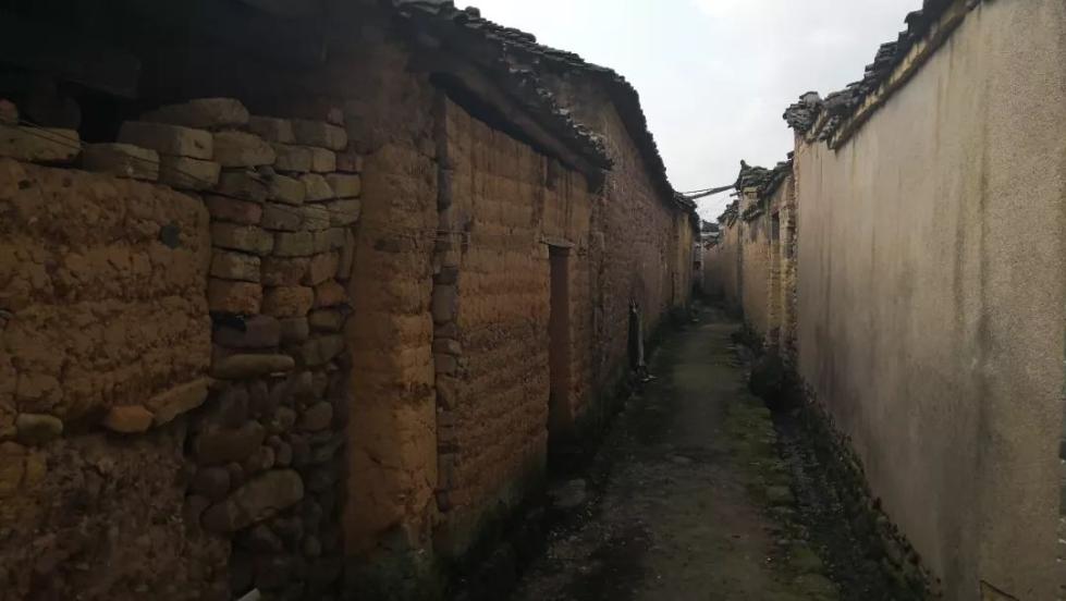 事发今晨:嫌犯挥舞凶器疯狂拒捕,危急时刻,民警果断开枪